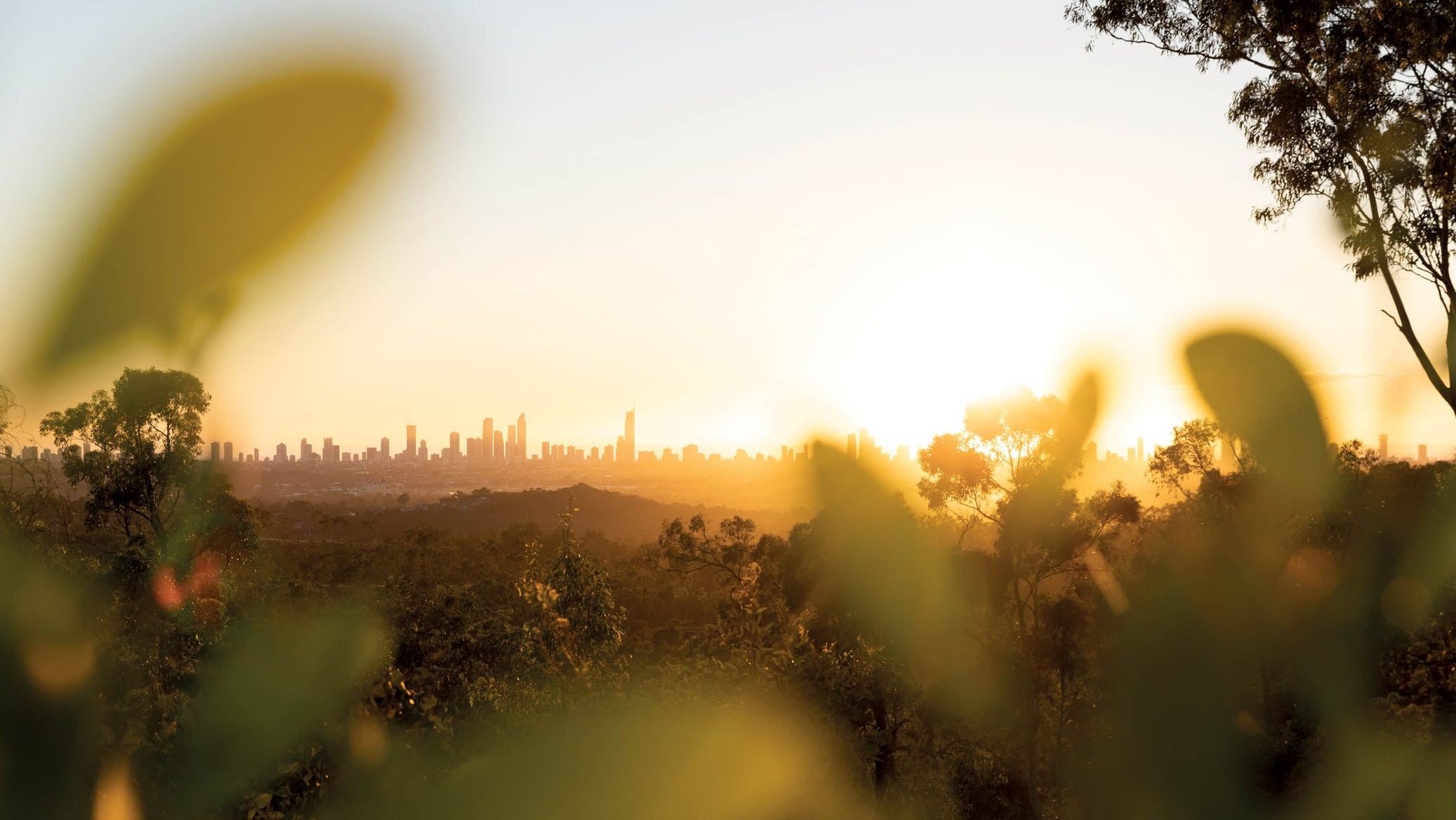 [Land for Sale & Display Village] SkyRidge Estate, Worongary | OpenLot