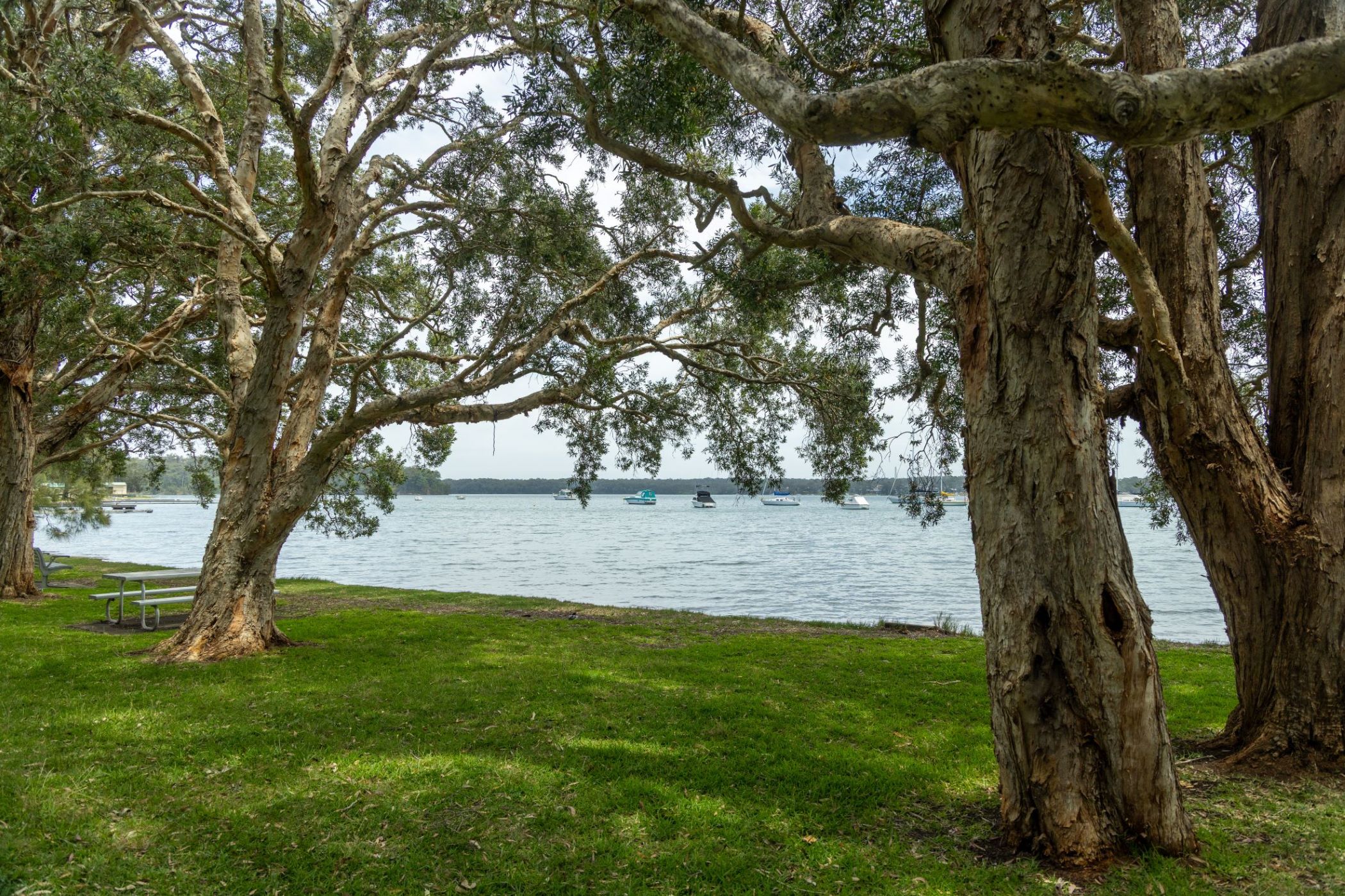 [Land for Sale] Solara Cove Estate, Wyee Point | OpenLot