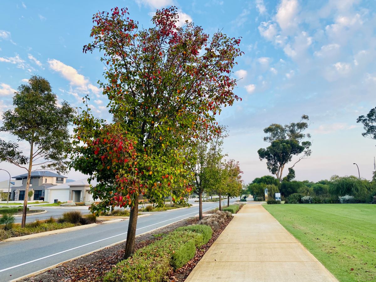 [Land for Sale] Springtime Estate, Haynes | OpenLot