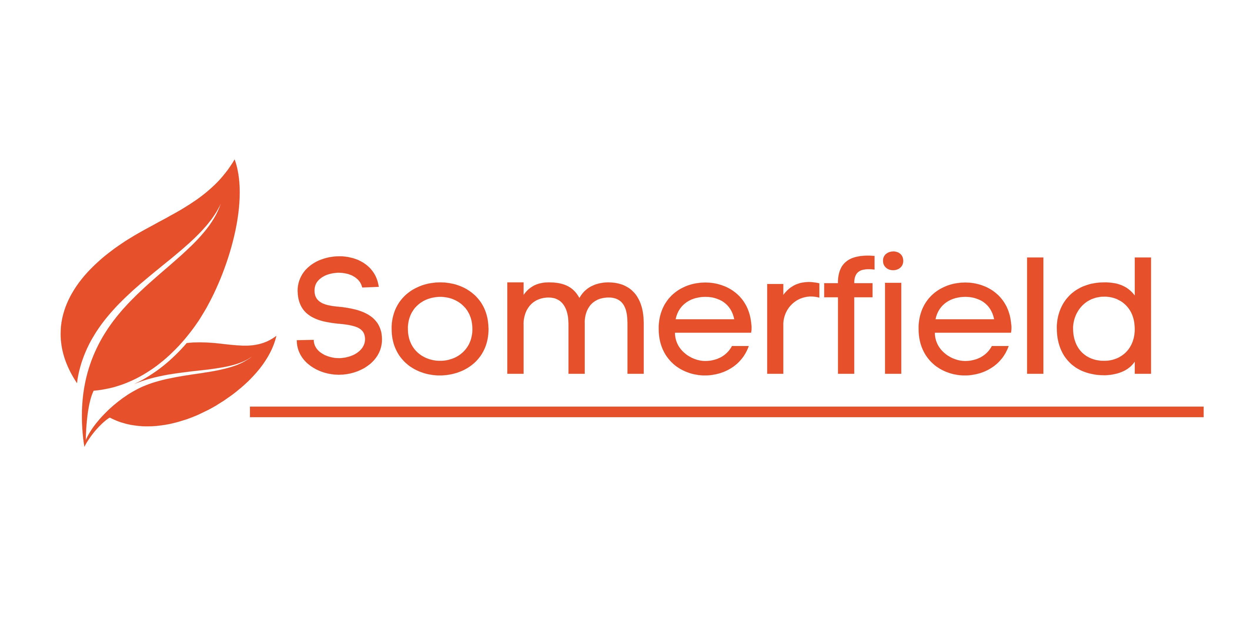 Somerfield Estate - Holmview Logo
