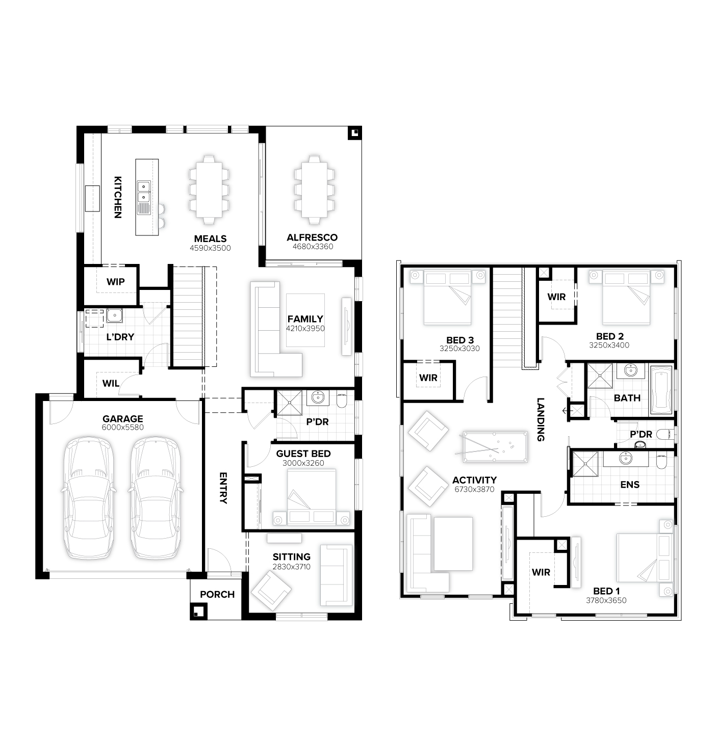 Bancroft 291