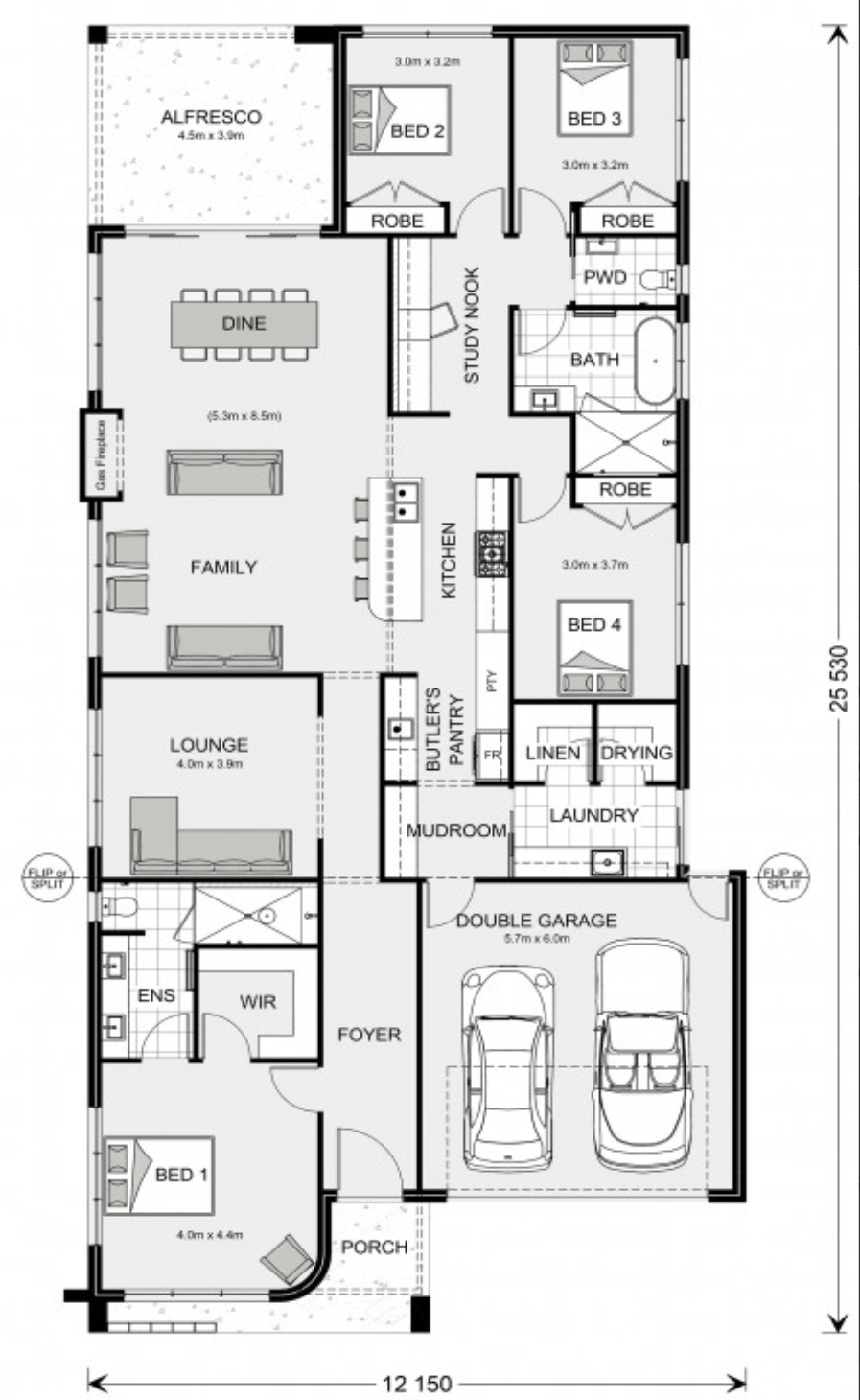 Banksia 278